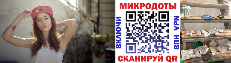 блэк спрут вход  Отрадная  Псилоцибиновые грибы прущие грибы 